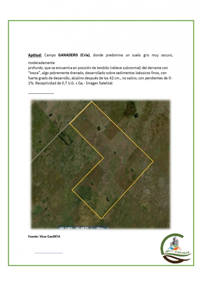 438 ha Ganadero - Tapalque