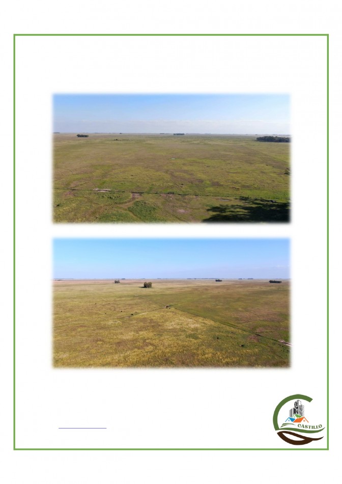 438 ha Ganadero - Tapalque