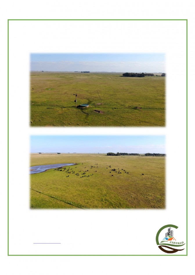 438 ha Ganadero - Tapalque
