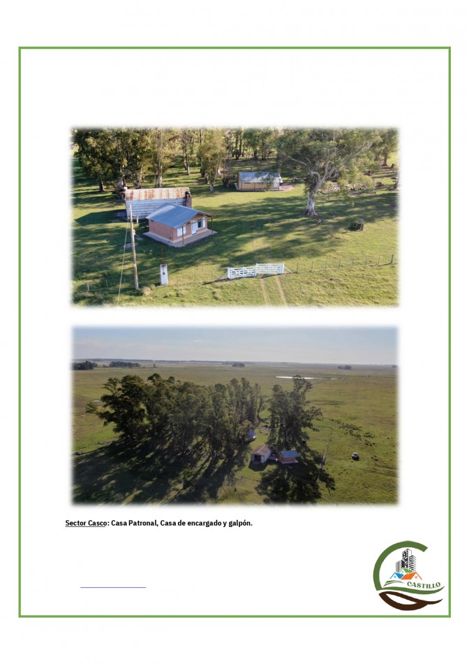 438 ha Ganadero - Tapalque