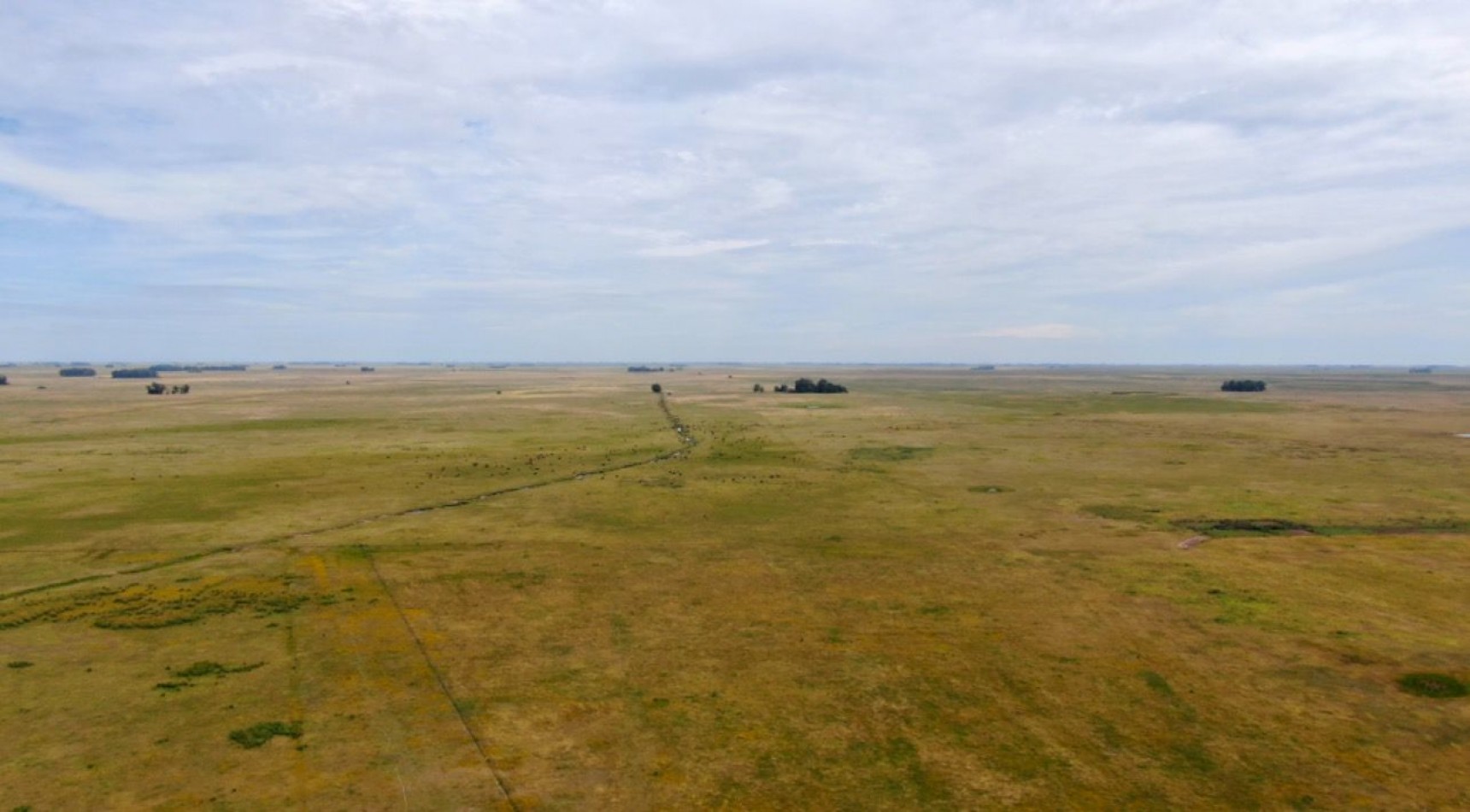 867 ha Ganadera - Olavarria 