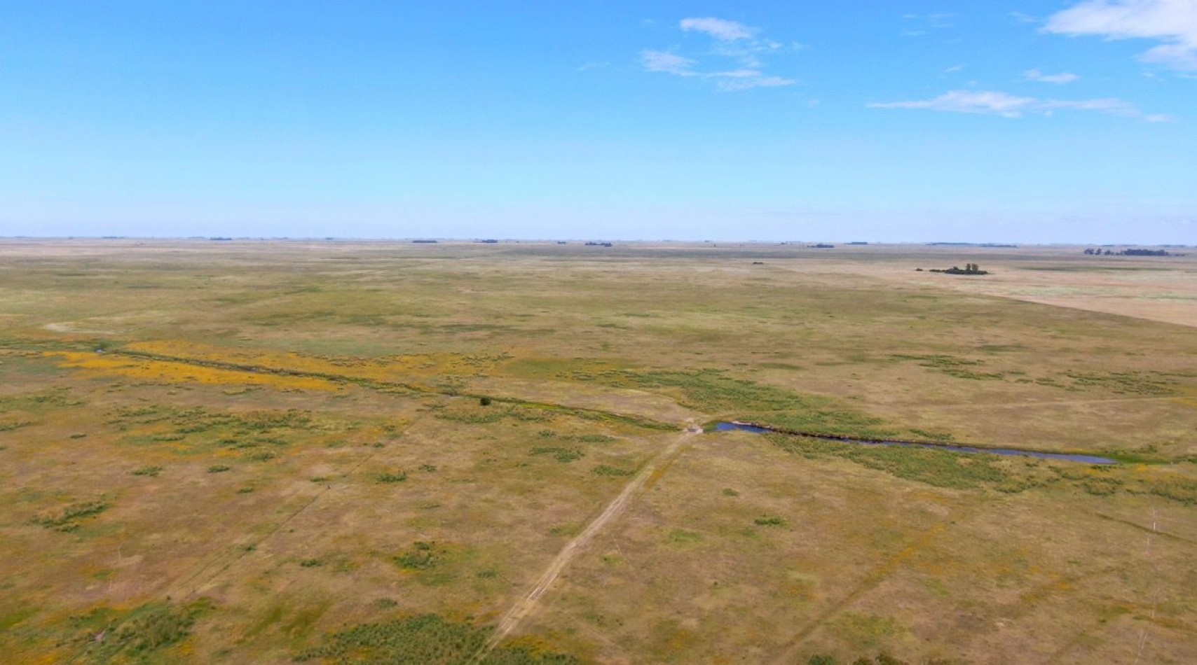 867 ha Ganadera - Olavarria 