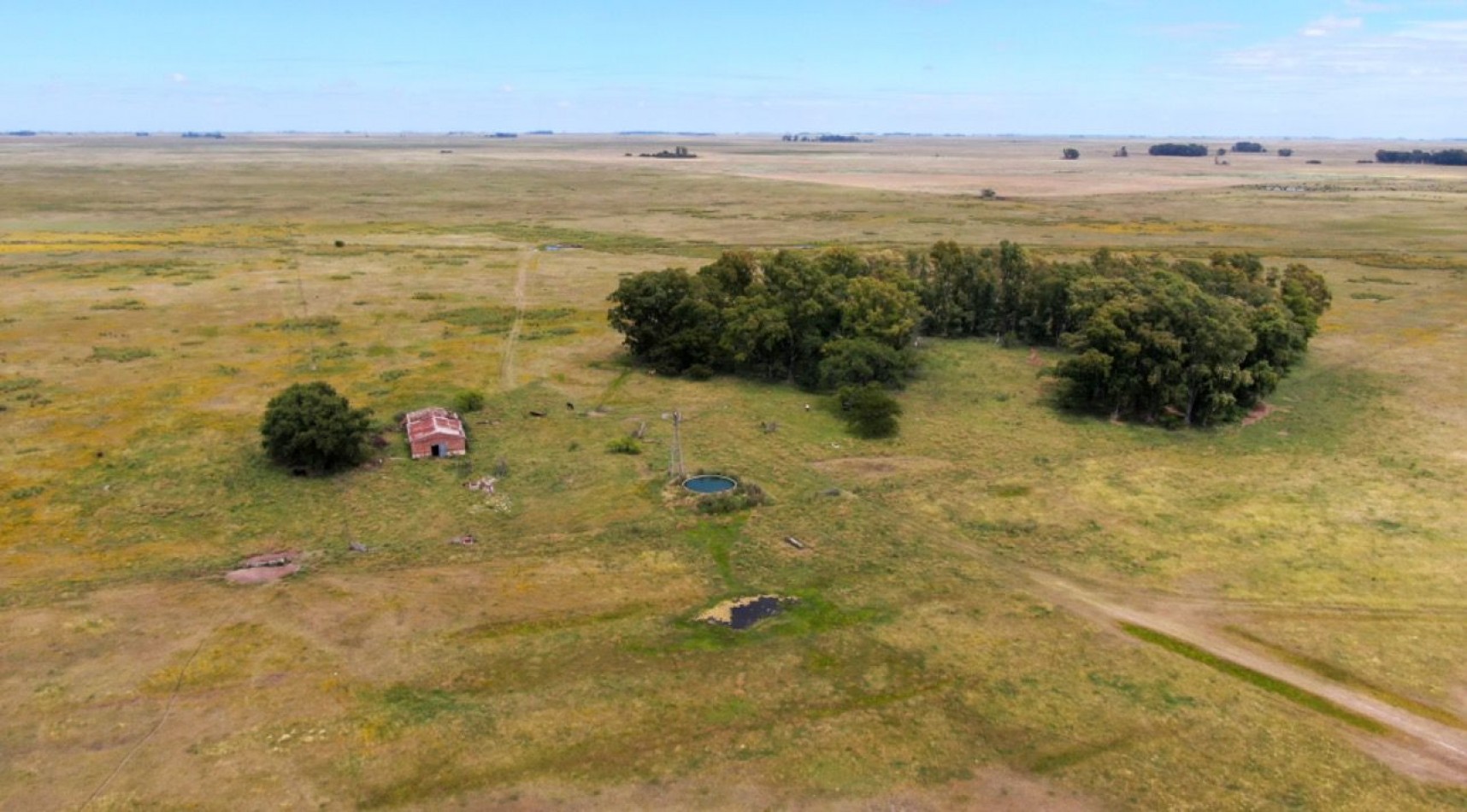867 ha Ganadera - Olavarria 
