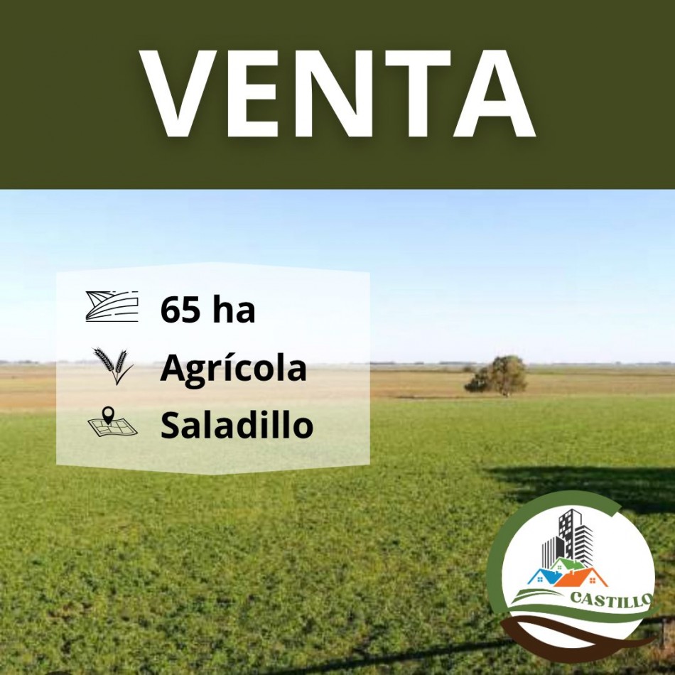62,5 ha Agricolas - Saladillo