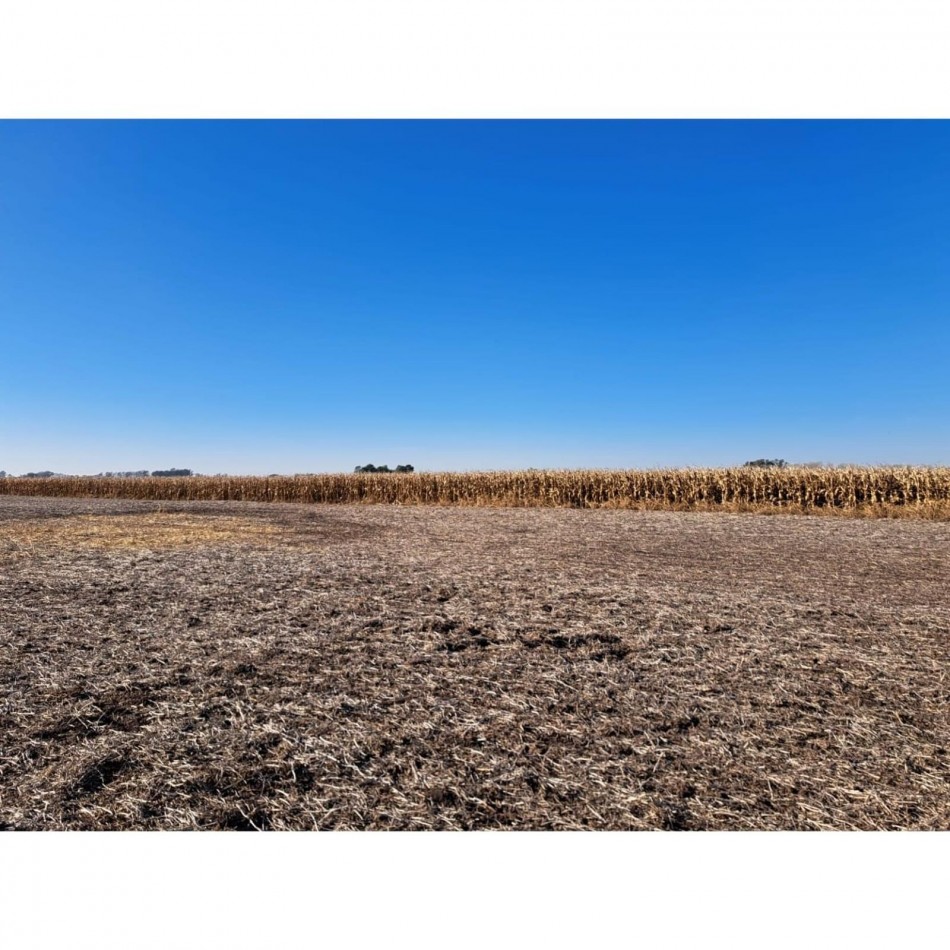 468 ha Agricolas- 25 de Mayo