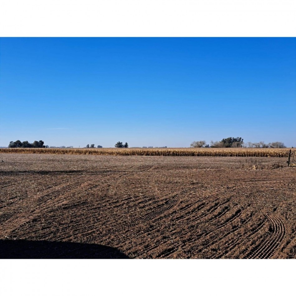 468 ha Agricolas- 25 de Mayo