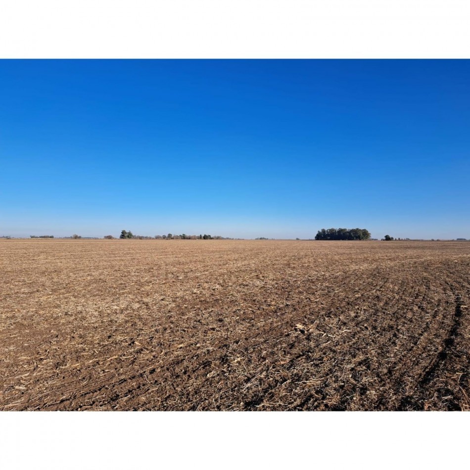 468 ha Agricolas- 25 de Mayo