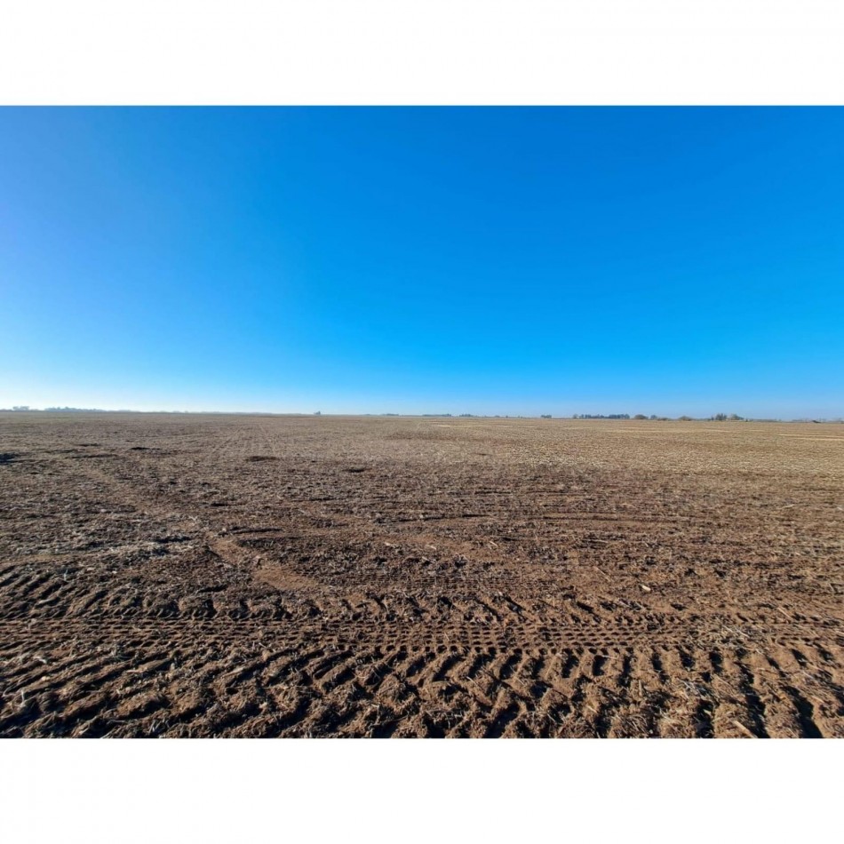 468 ha Agricolas- 25 de Mayo