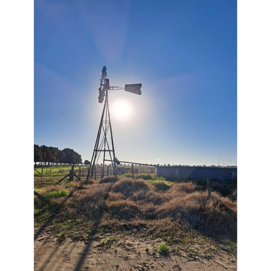 468 ha Agricolas- 25 de Mayo