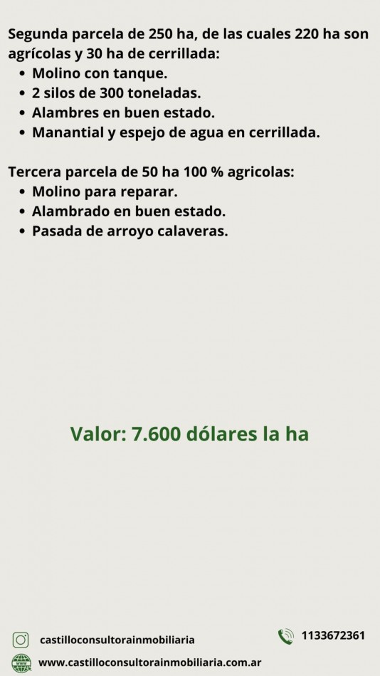 850 HA Agricolas - Tandil