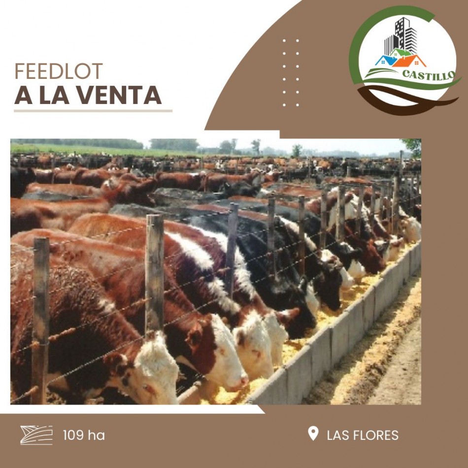109 ha Feed Lot - Las Flores