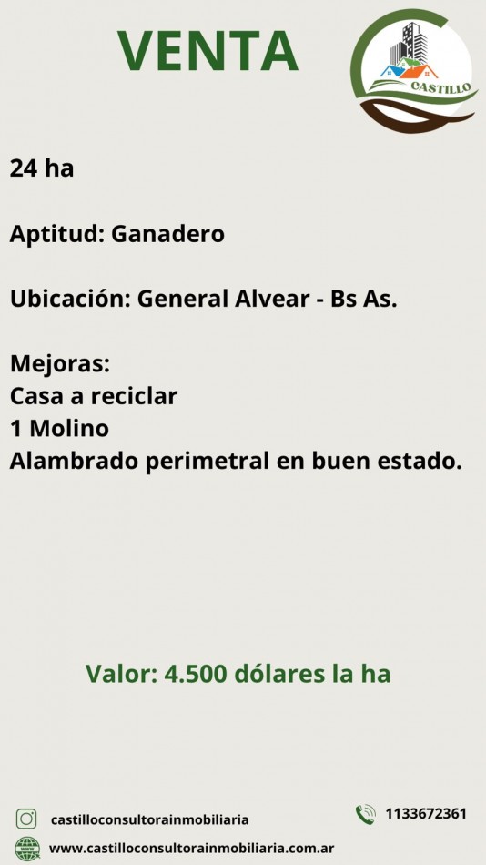 24 HA Ganadero - Alvear