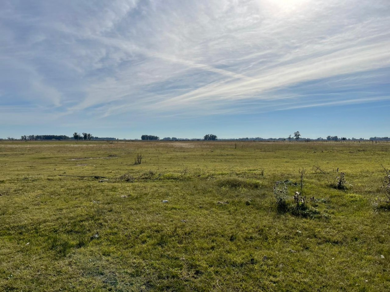 24 HA Ganadero - Alvear