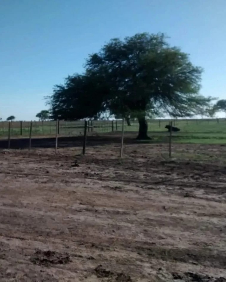 5900 HA Agricolas - Malbran S del Estero