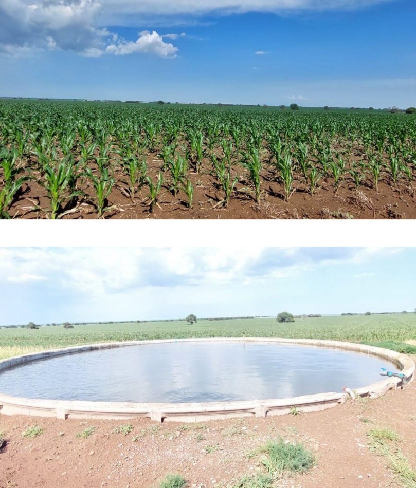 2120 ha Agricola - Villa Mercedes