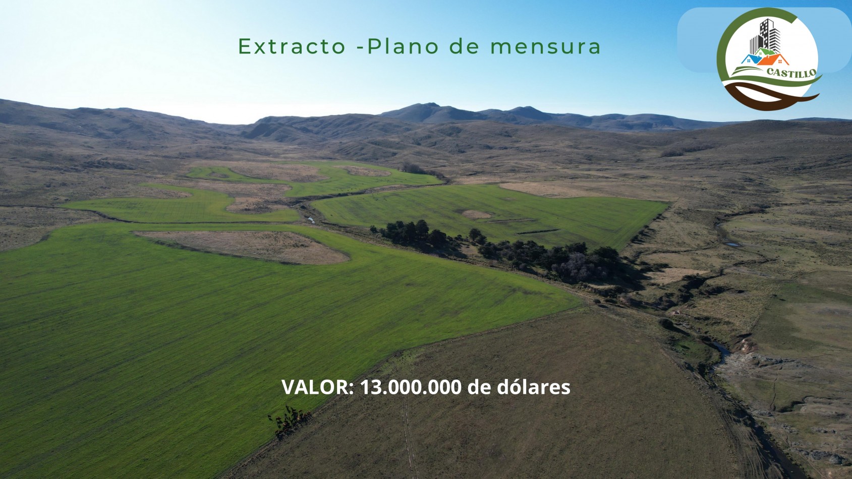 6570 ha Mixtas - Coronel Suarez