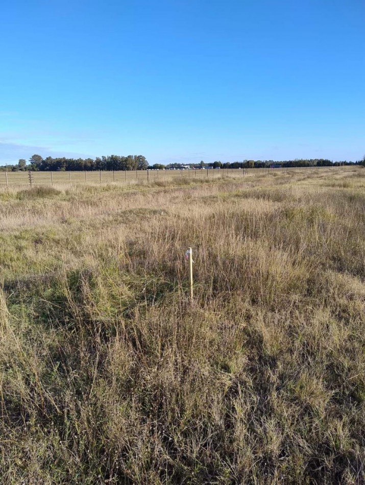 Lote 2 ha - Tapalque