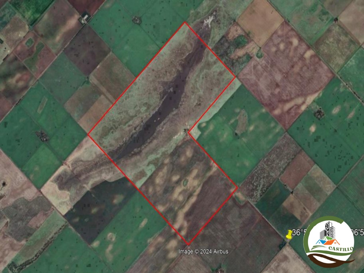 300 ha Mixtas - Carhue