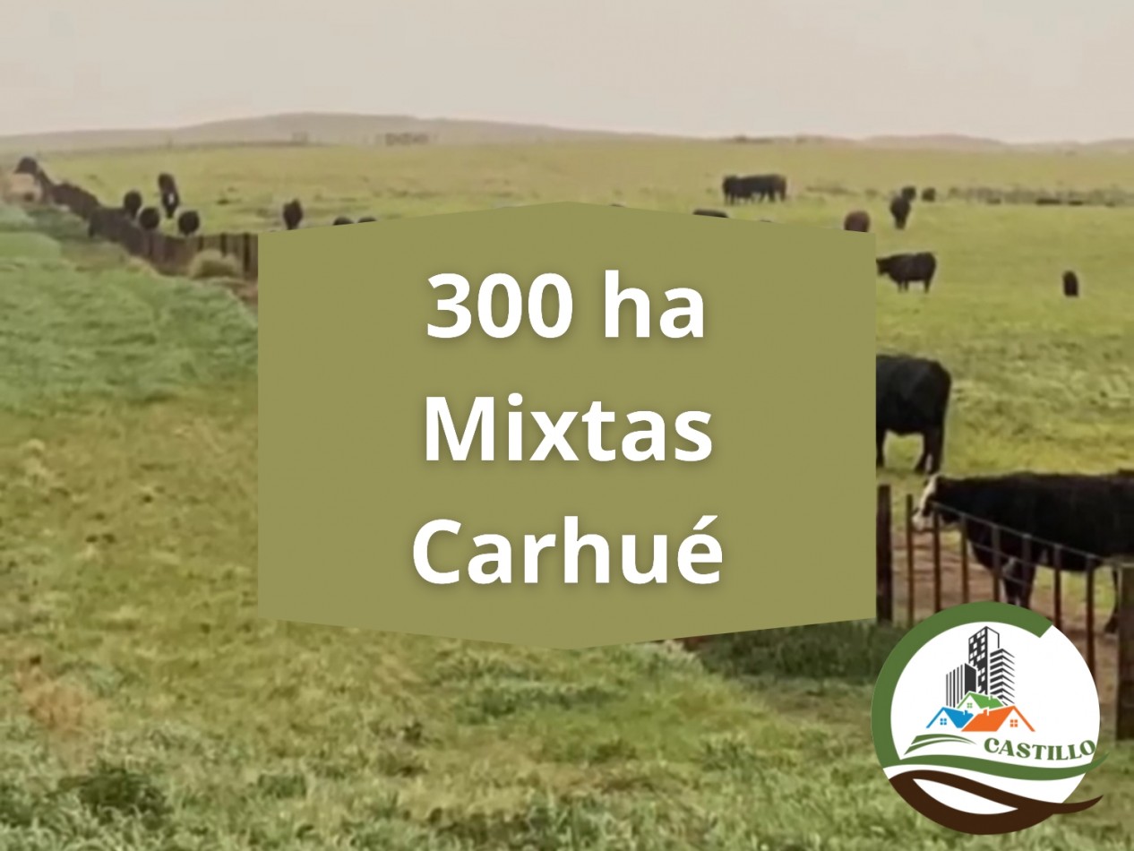 300 ha Mixtas - Carhue