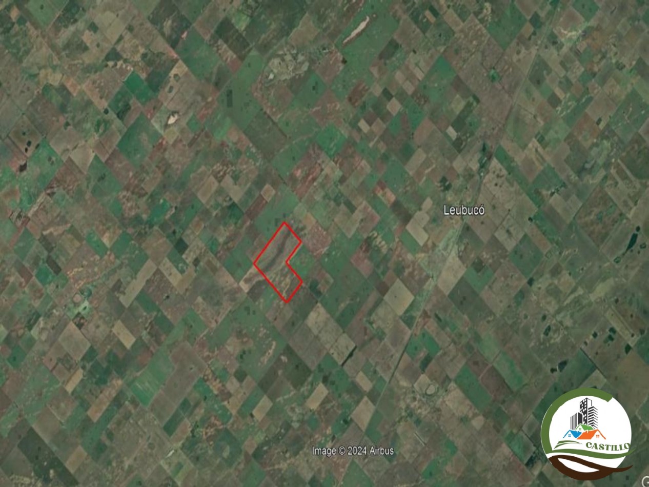 300 ha Mixtas - Carhue