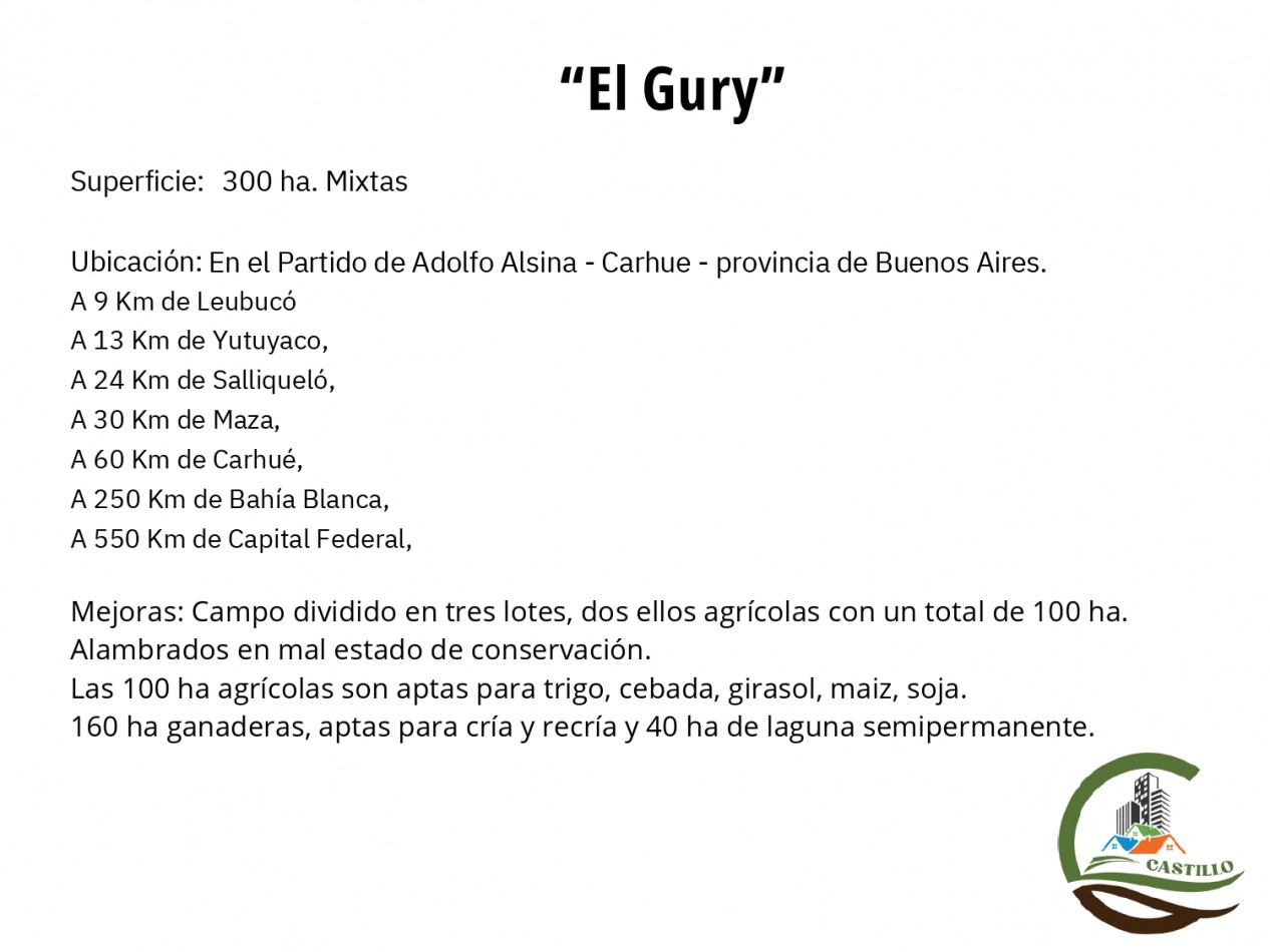 300 ha Mixtas - Carhue