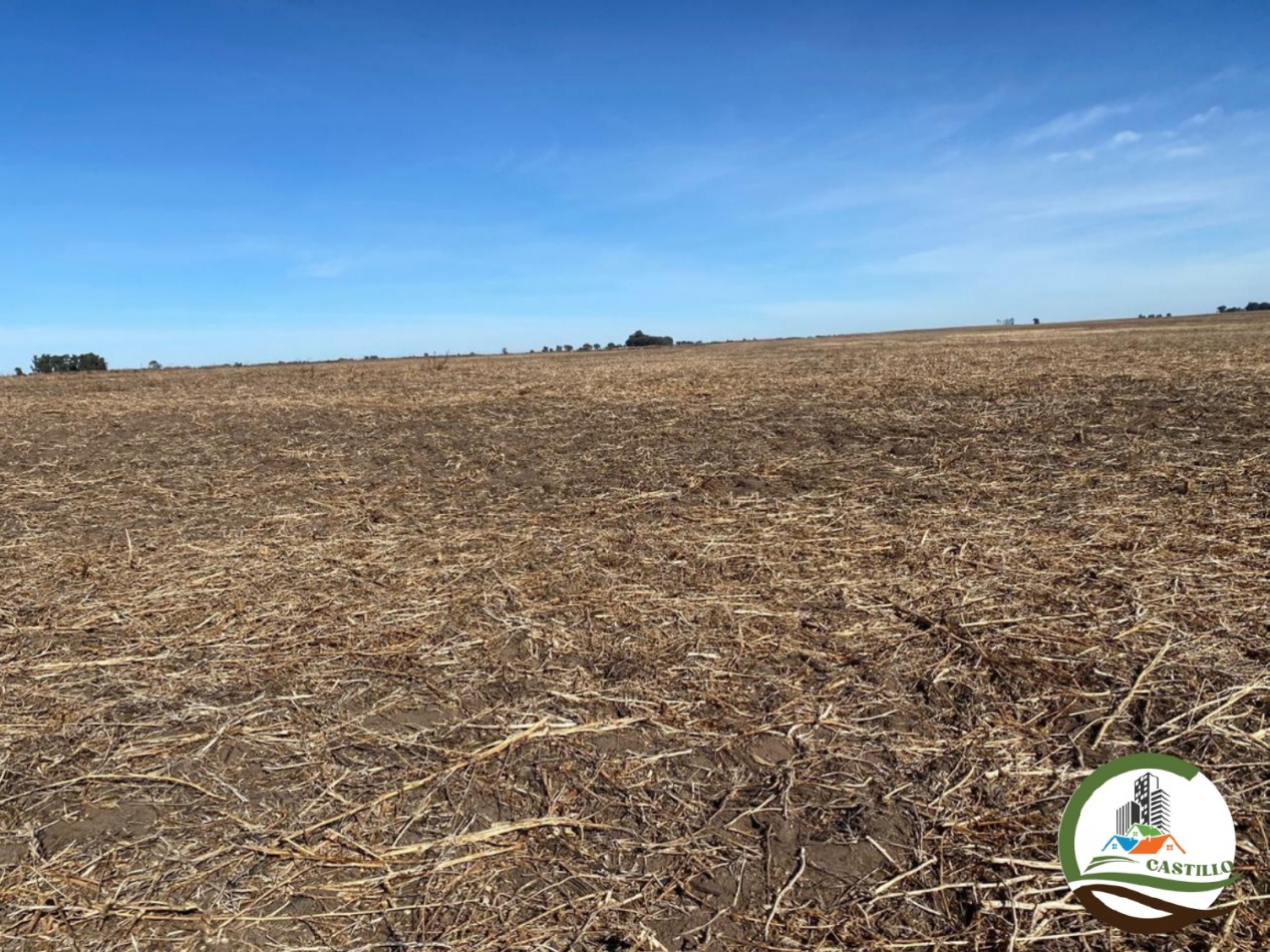 300 ha Mixtas - Carhue