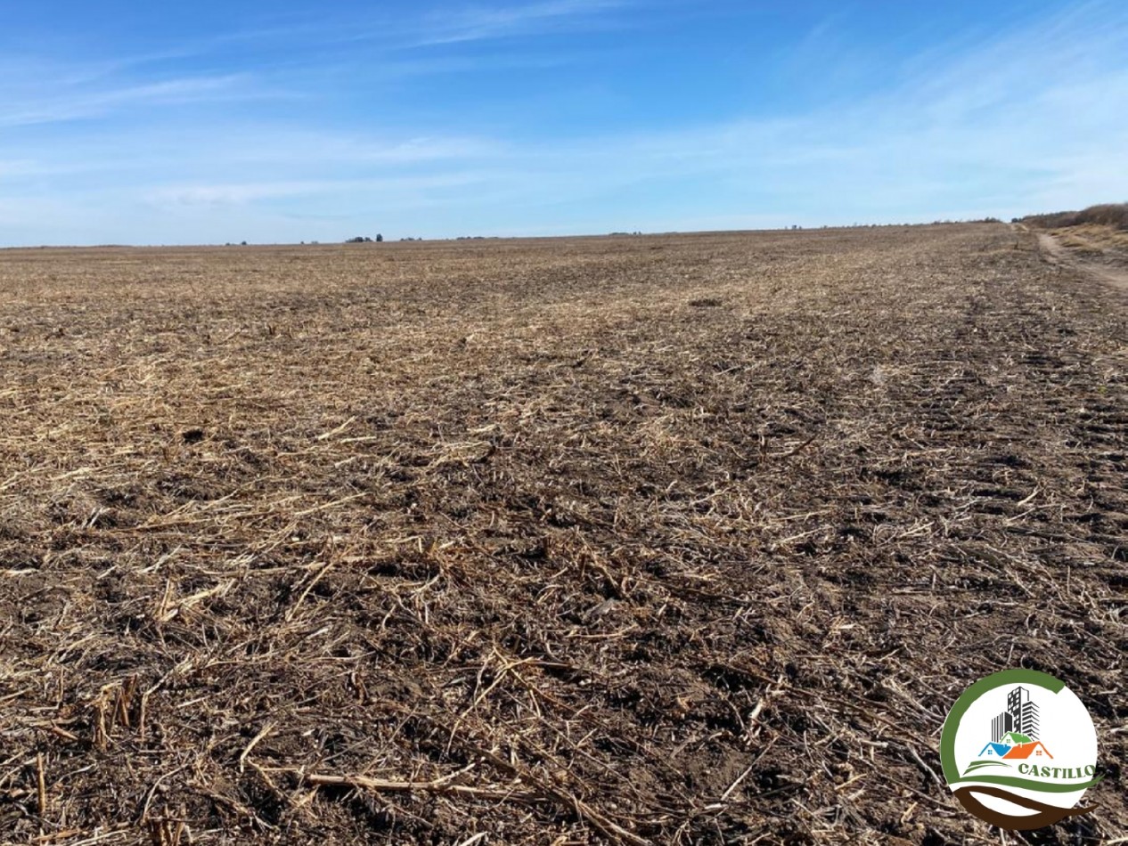 300 ha Mixtas - Carhue