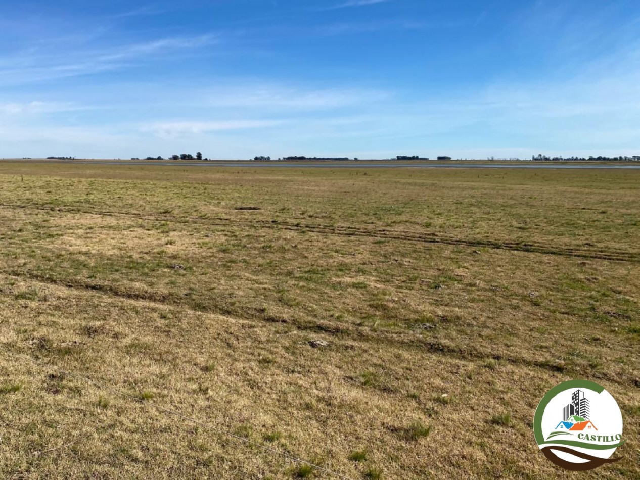 300 ha Mixtas - Carhue