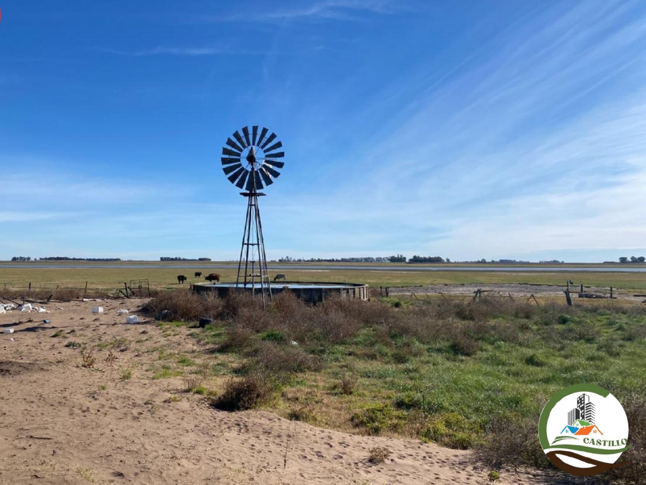 300 ha Mixtas - Carhue