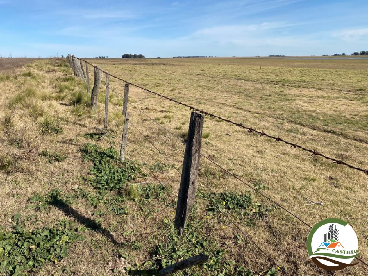 300 ha Mixtas - Carhue