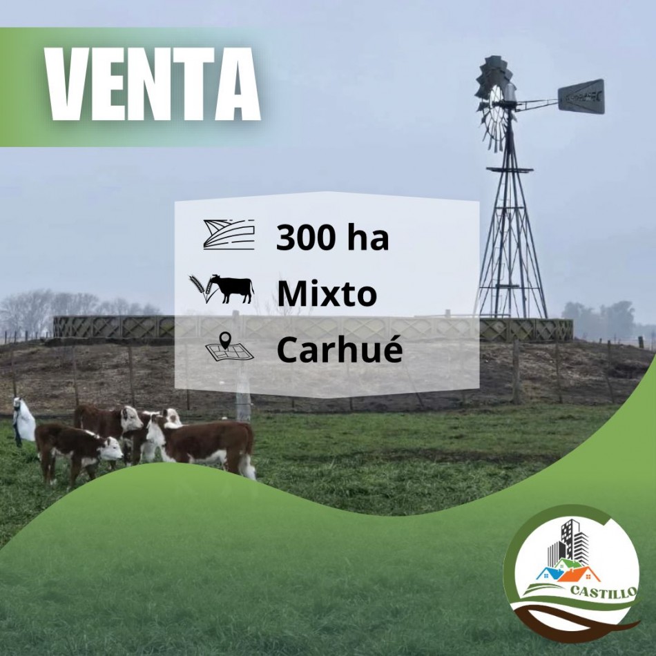 300 ha Mixtas - Carhue