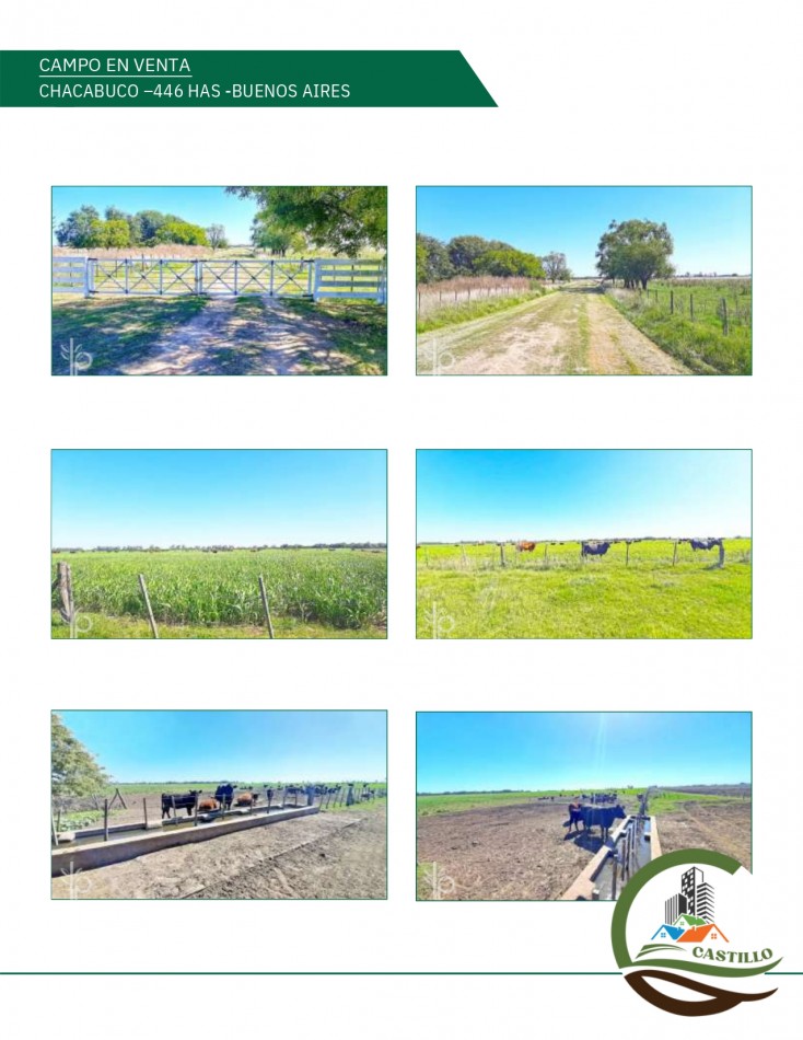 446 ha Mixtas - Chacabuco