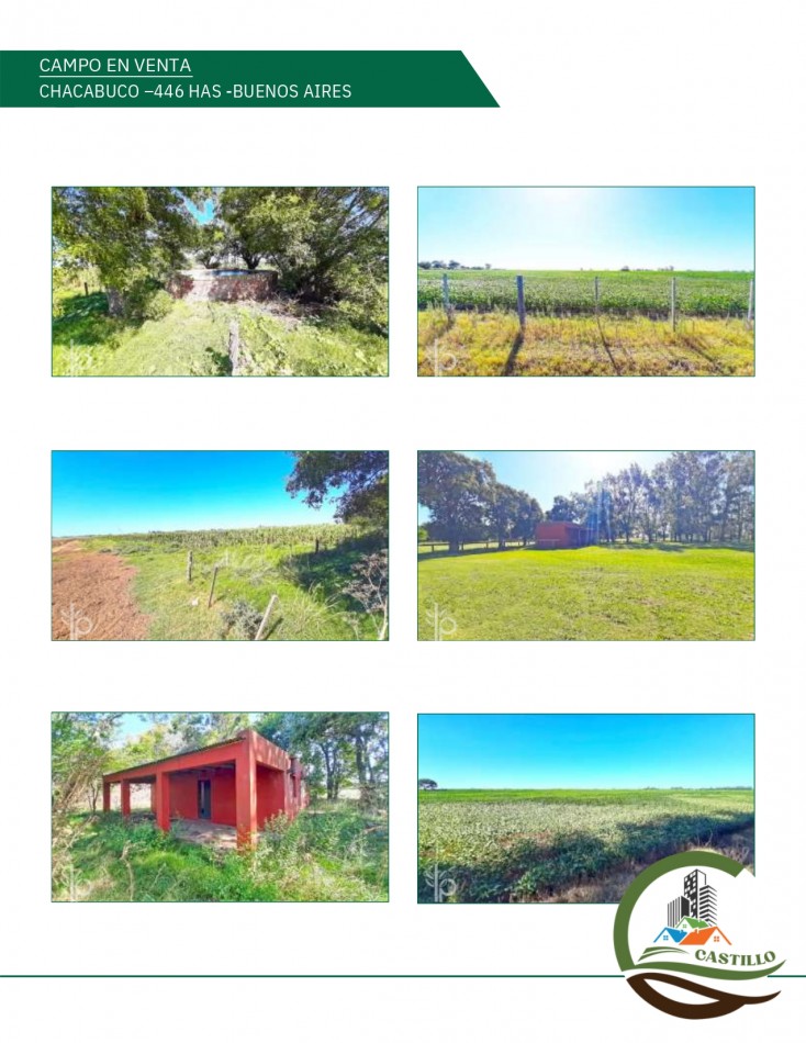 446 ha Mixtas - Chacabuco