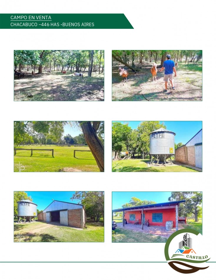 446 ha Mixtas - Chacabuco