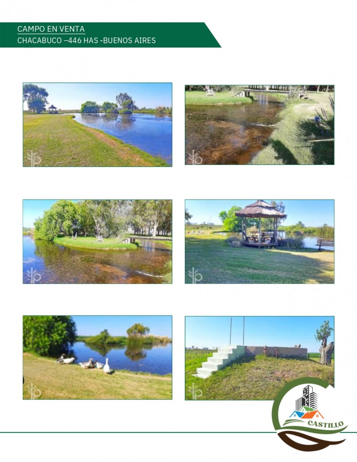 446 ha Mixtas - Chacabuco