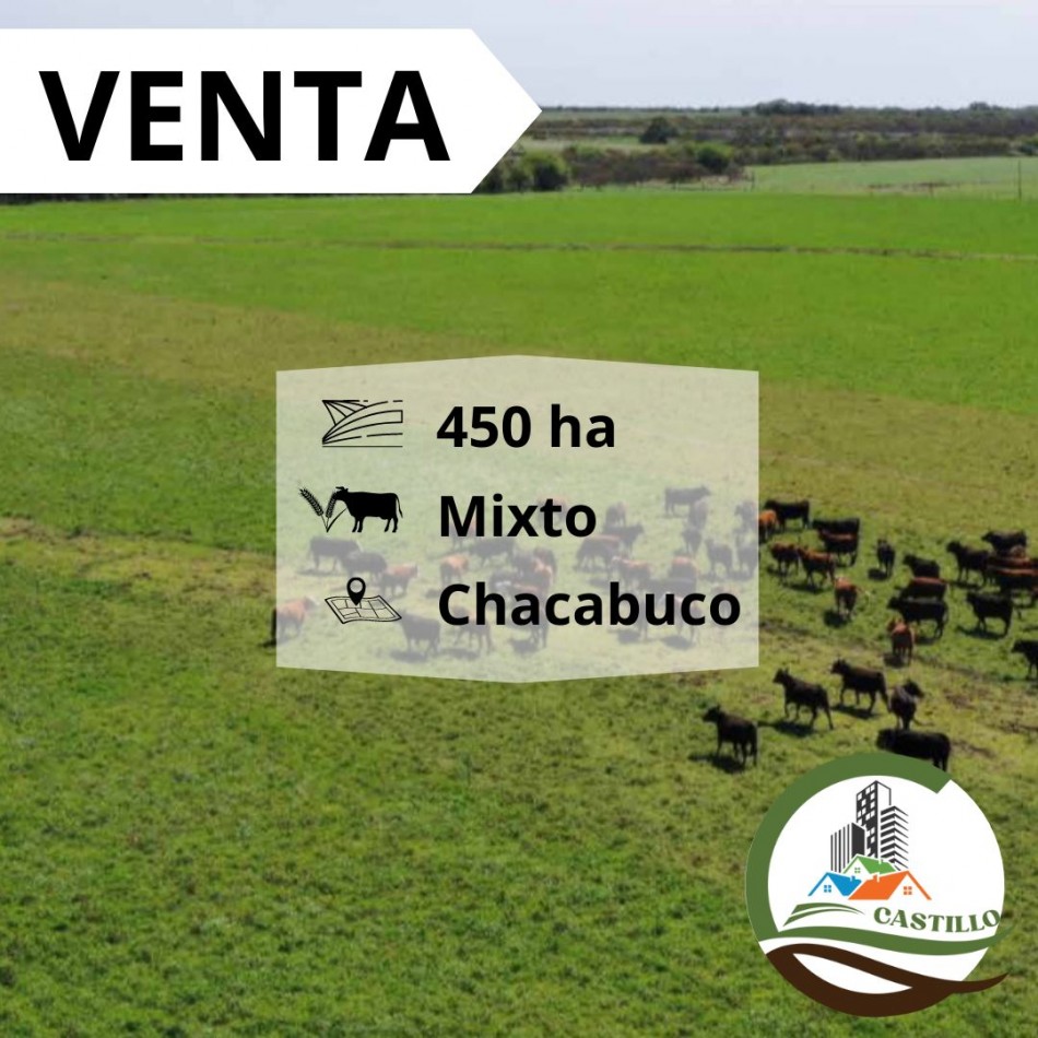 446 ha Mixtas - Chacabuco