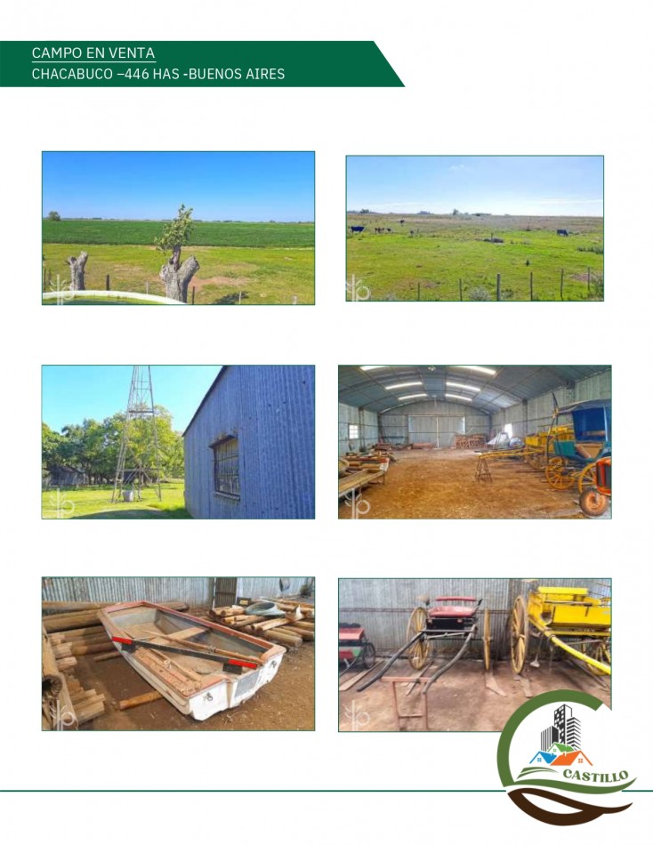 446 ha Mixtas - Chacabuco