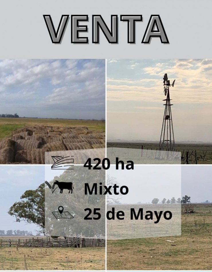 420 ha Mixtas - De La Riestra