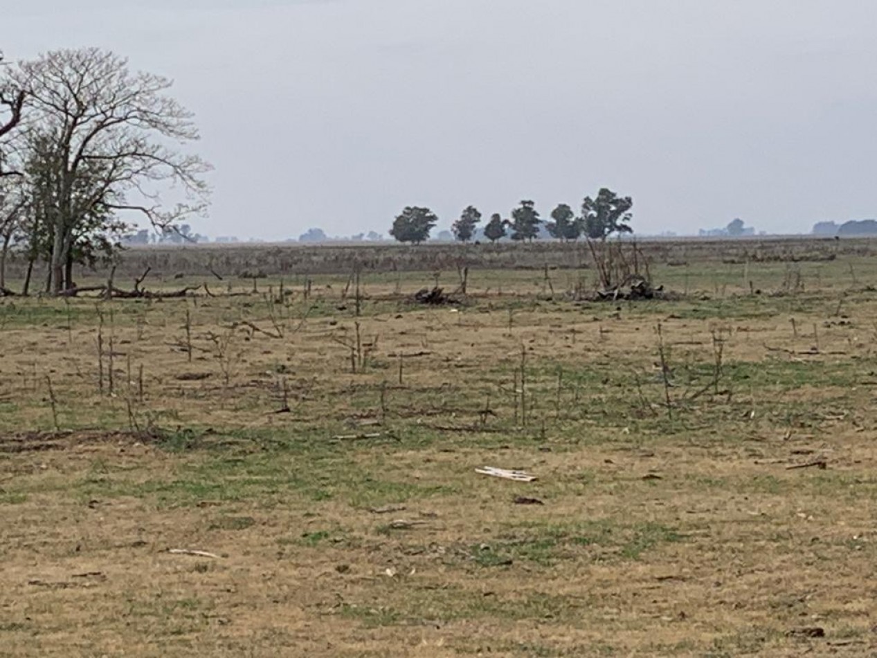 420 ha Mixtas - De La Riestra