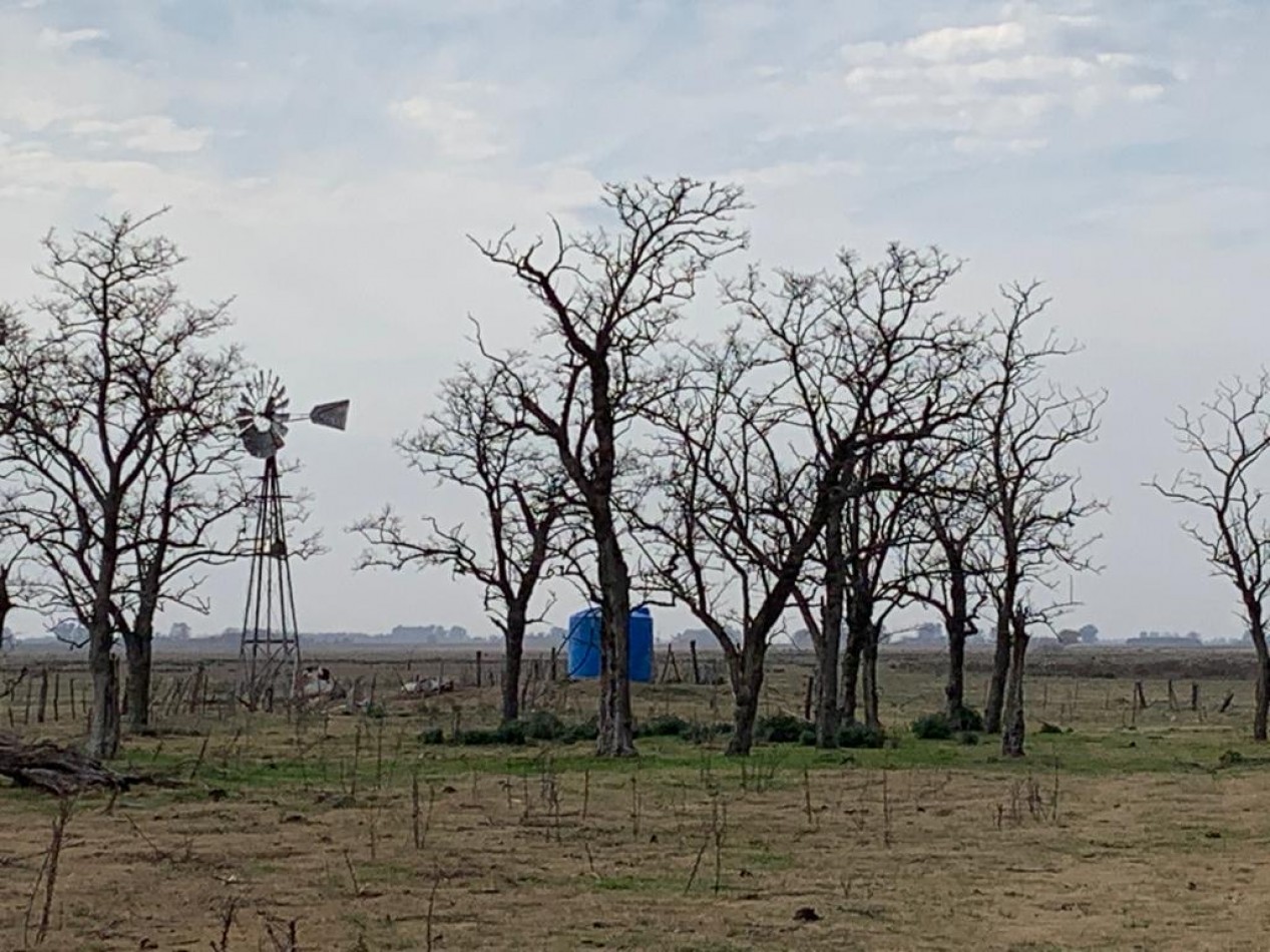 420 ha Mixtas - De La Riestra