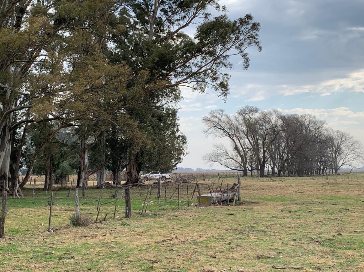 420 ha Mixtas - De La Riestra