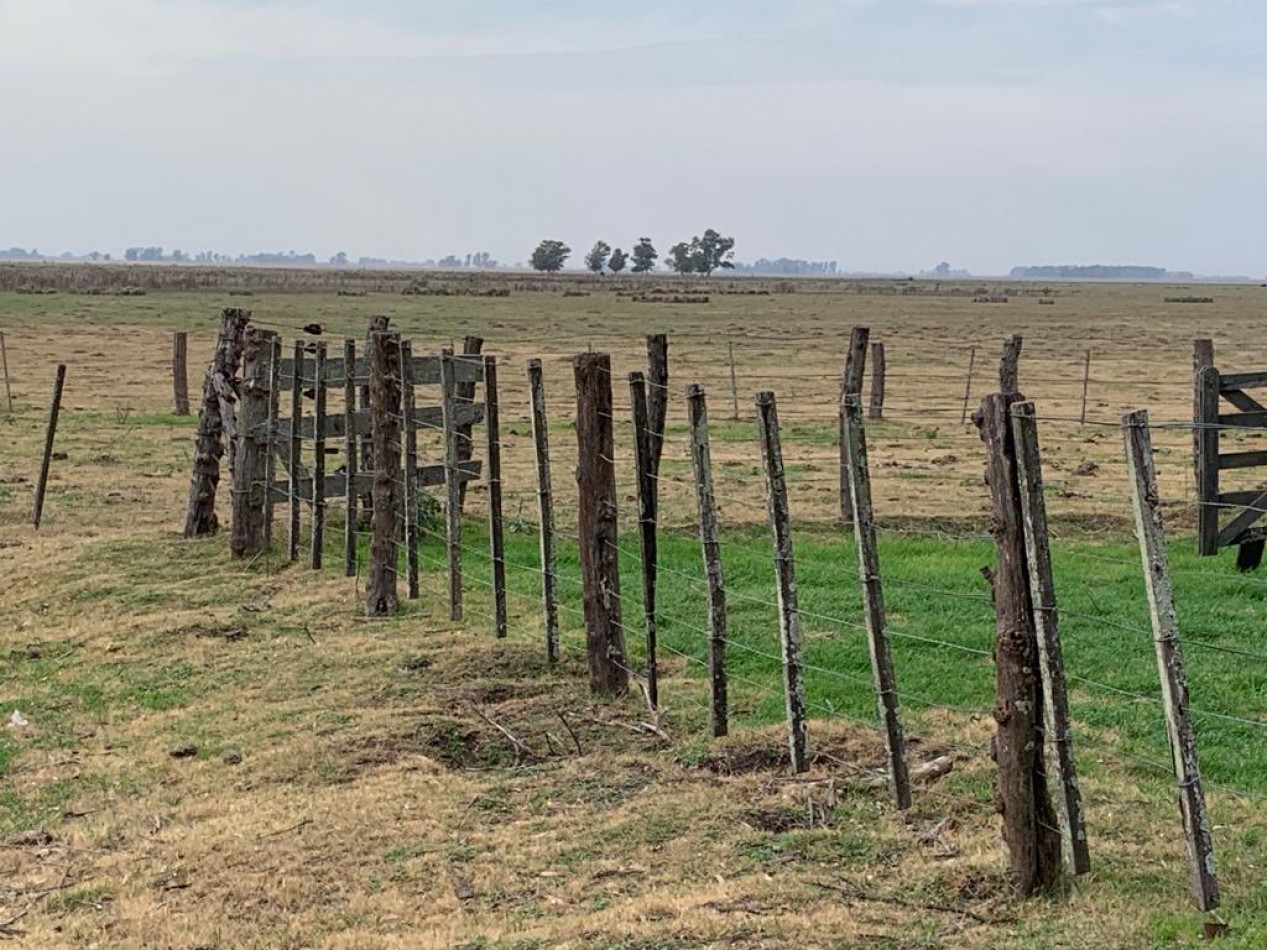 420 ha Mixtas - De La Riestra