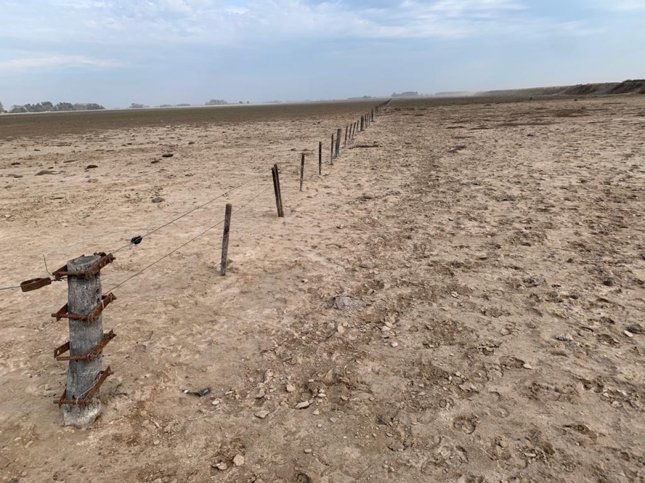 420 ha Mixtas - De La Riestra