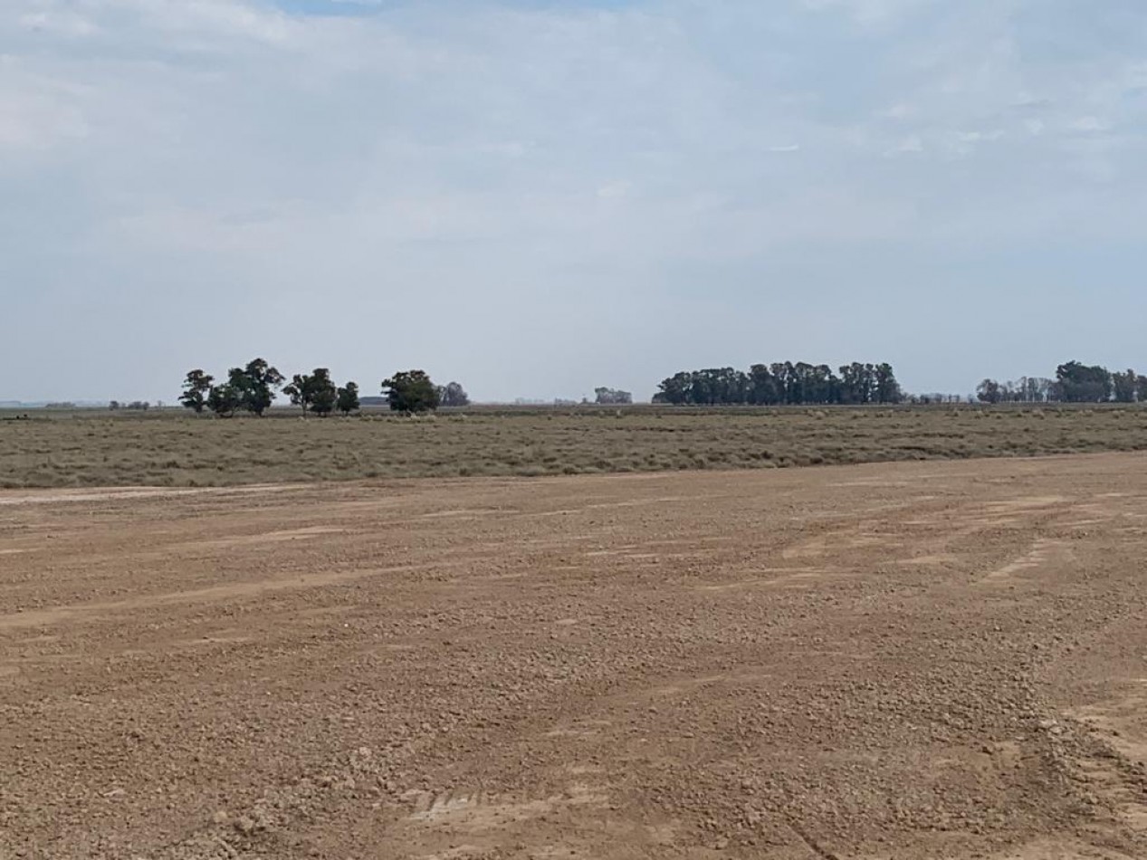 420 ha Mixtas - De La Riestra