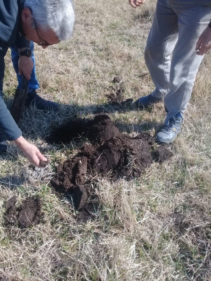 420 ha Mixtas - De La Riestra