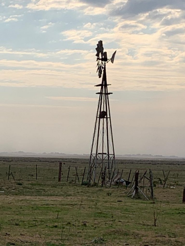 420 ha Mixtas - De La Riestra
