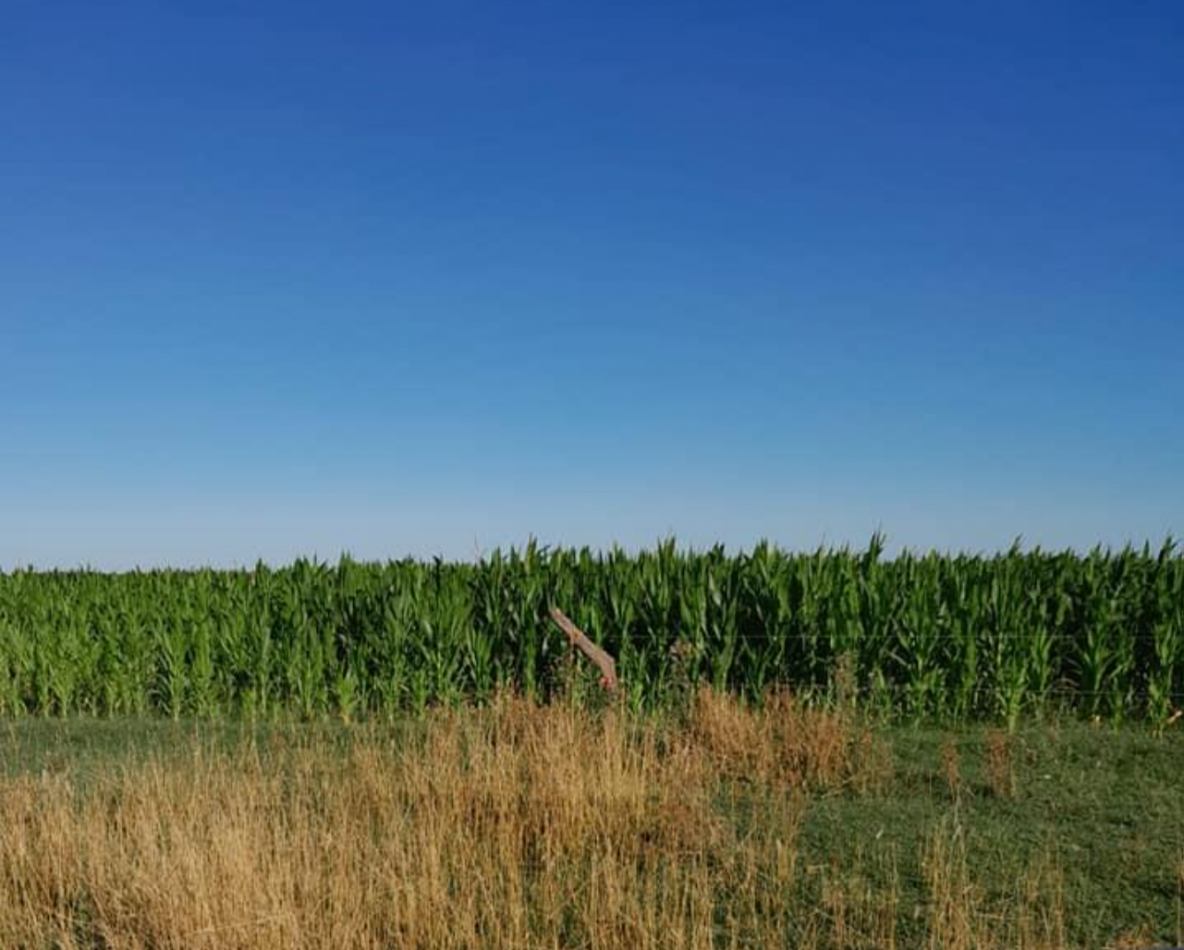 310 ha Mixtas - Del Valle - Tranquera cerrada