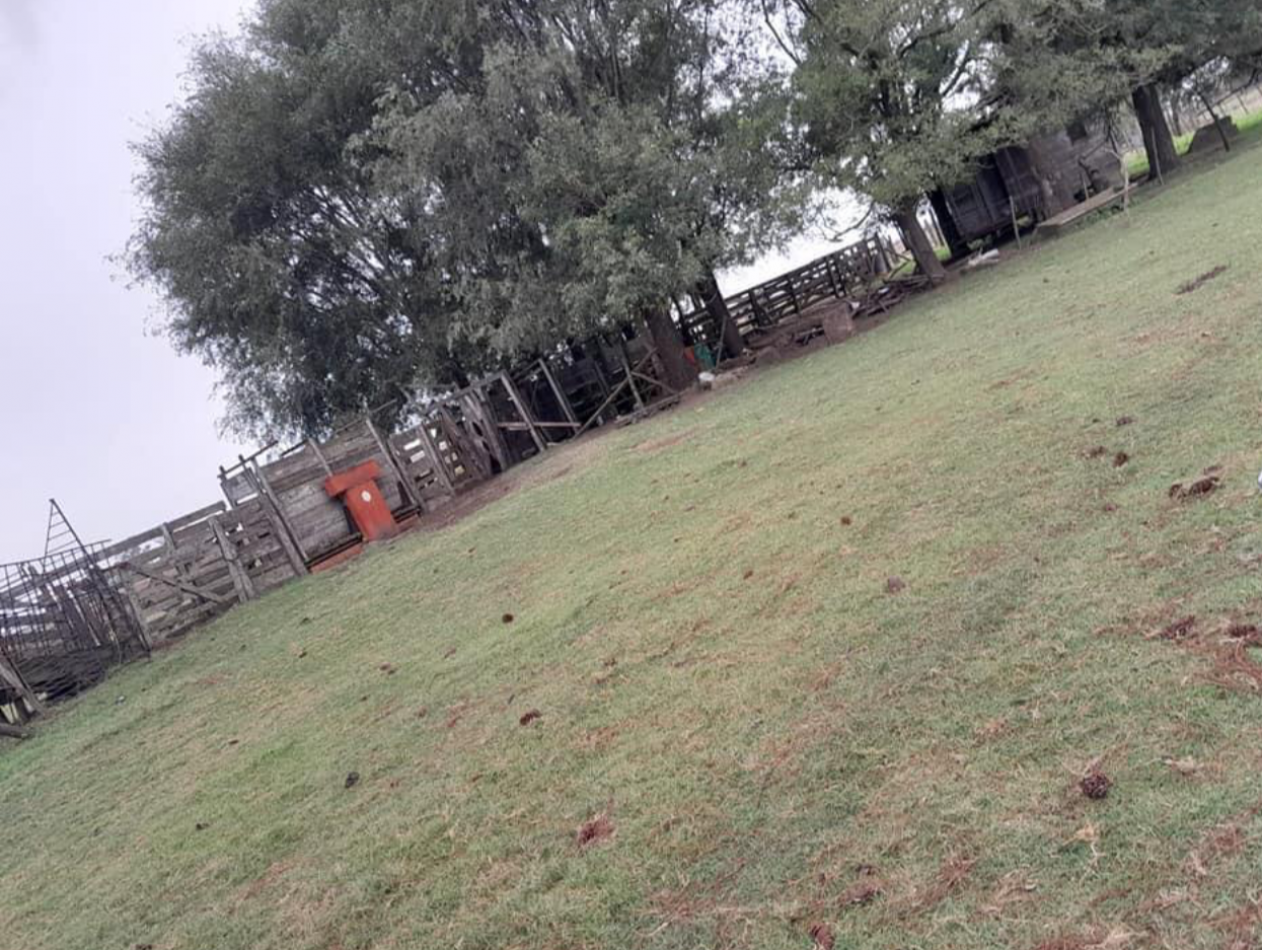 310 ha Mixtas - Del Valle - Tranquera cerrada
