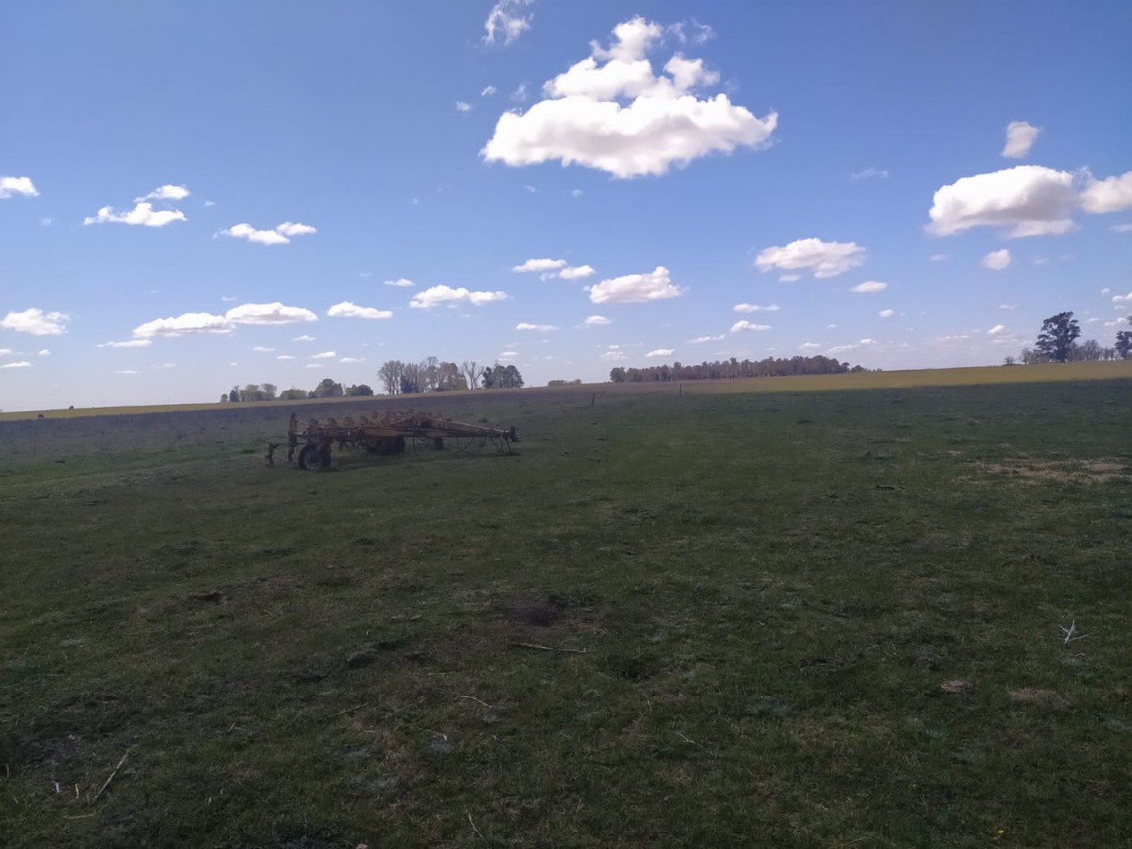 310 ha Mixtas - Del Valle - Tranquera cerrada
