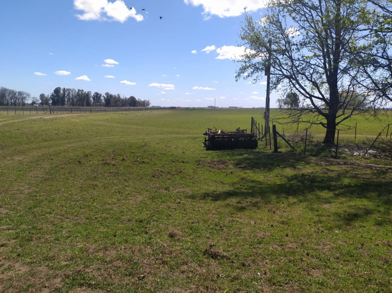 310 ha Mixtas - Del Valle - Tranquera cerrada